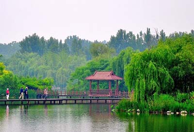 ����ʡ�g��ДM��******��ع��@